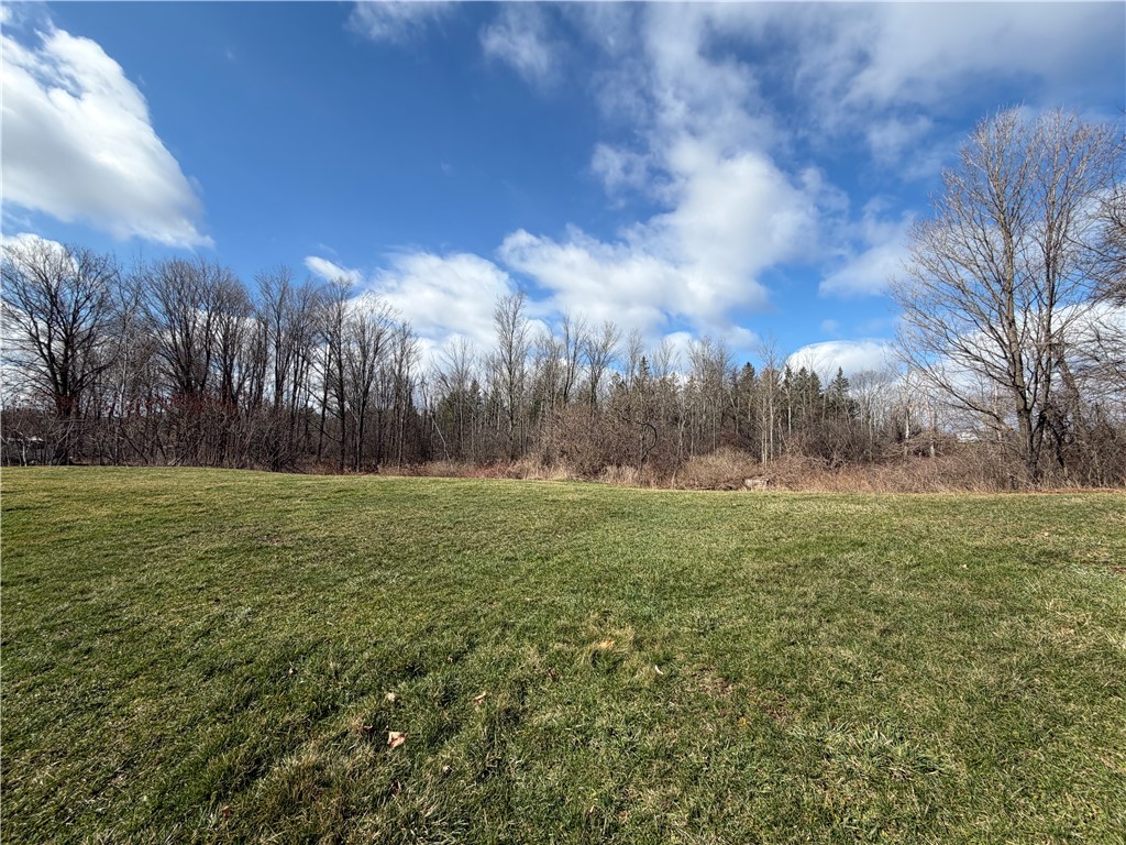 9580 Lodi Center Road Lodi, NY 14860 - Photo 11 of 12 Side Yard