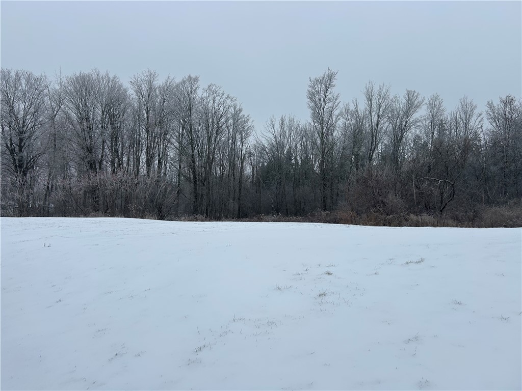 9580 Lodi Center Road Lodi, NY 14860 - Photo 12 of 14 Back Yard