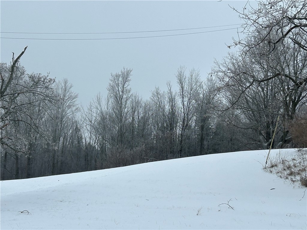 9580 Lodi Center Road Lodi, NY 14860 - Photo 13 of 14 Back Yard