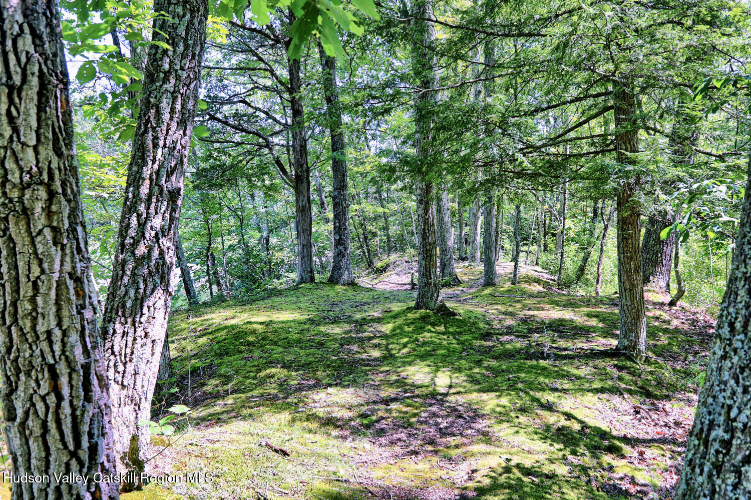 128 West Moorehouse Road Cairo, NY 12413 - Photo 97 of 132 9zzz