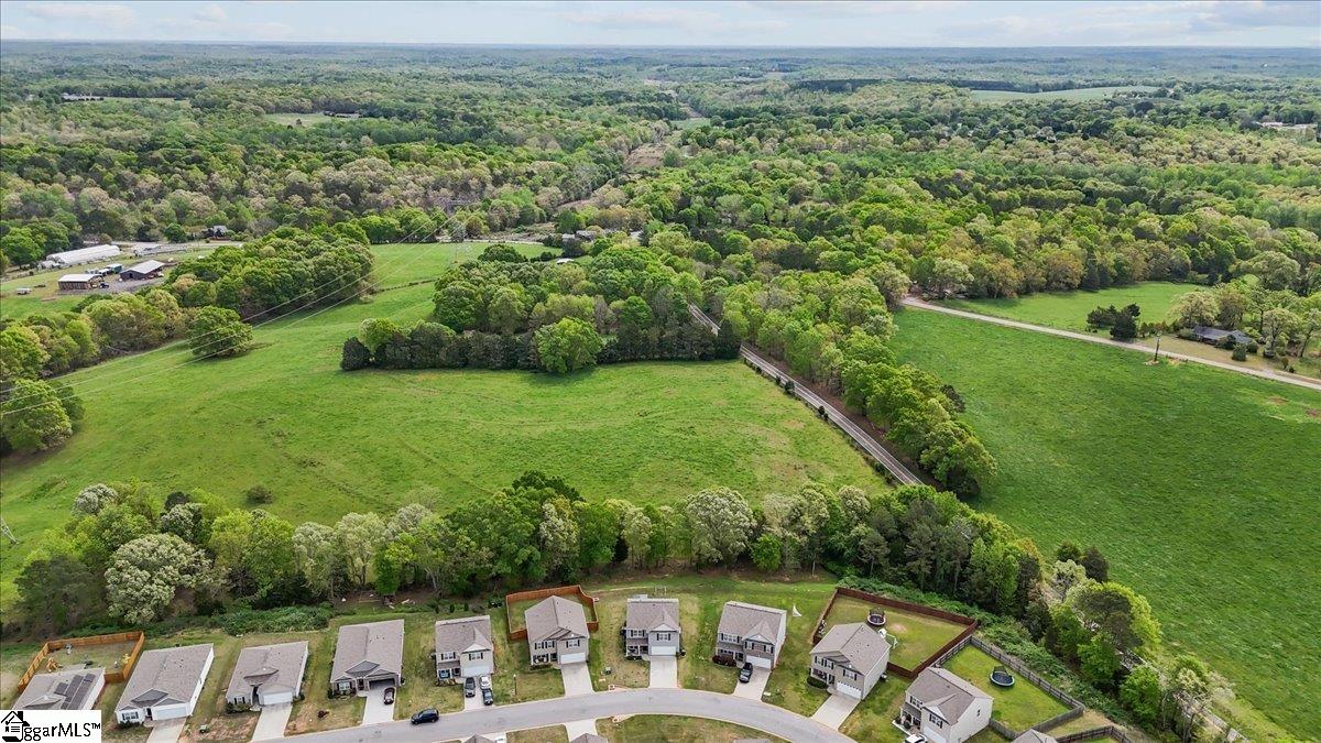 224 Hillendale Way Pelzer, SC 29669 - Photo 31 of 34