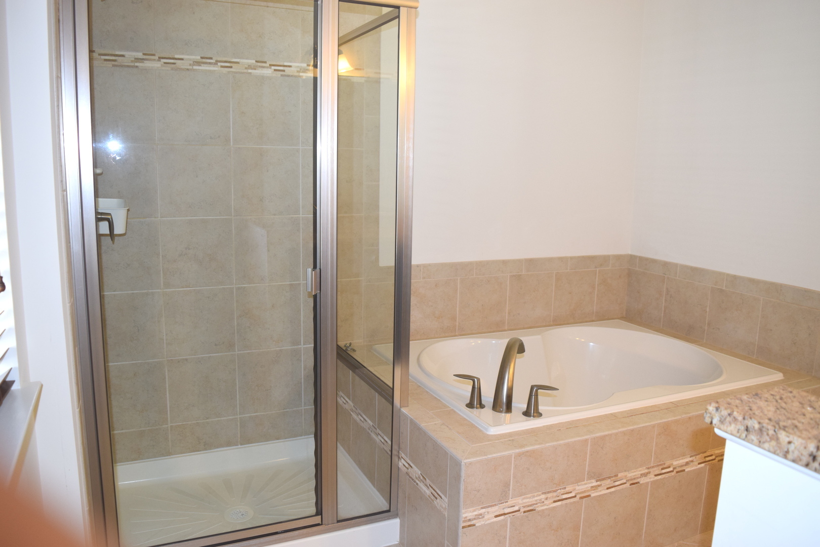 1222 Falcon Ridge Drive Elgin, IL 60124 - Photo 11 of 22