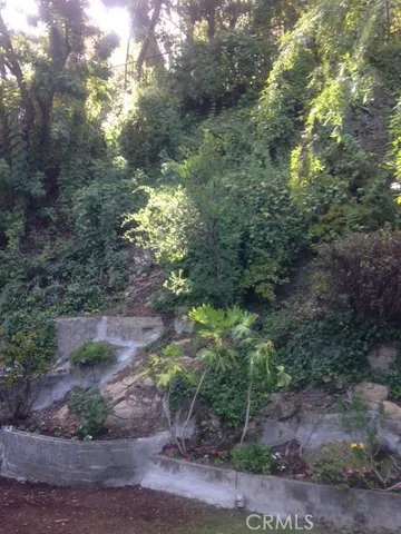 a view of yard with green space