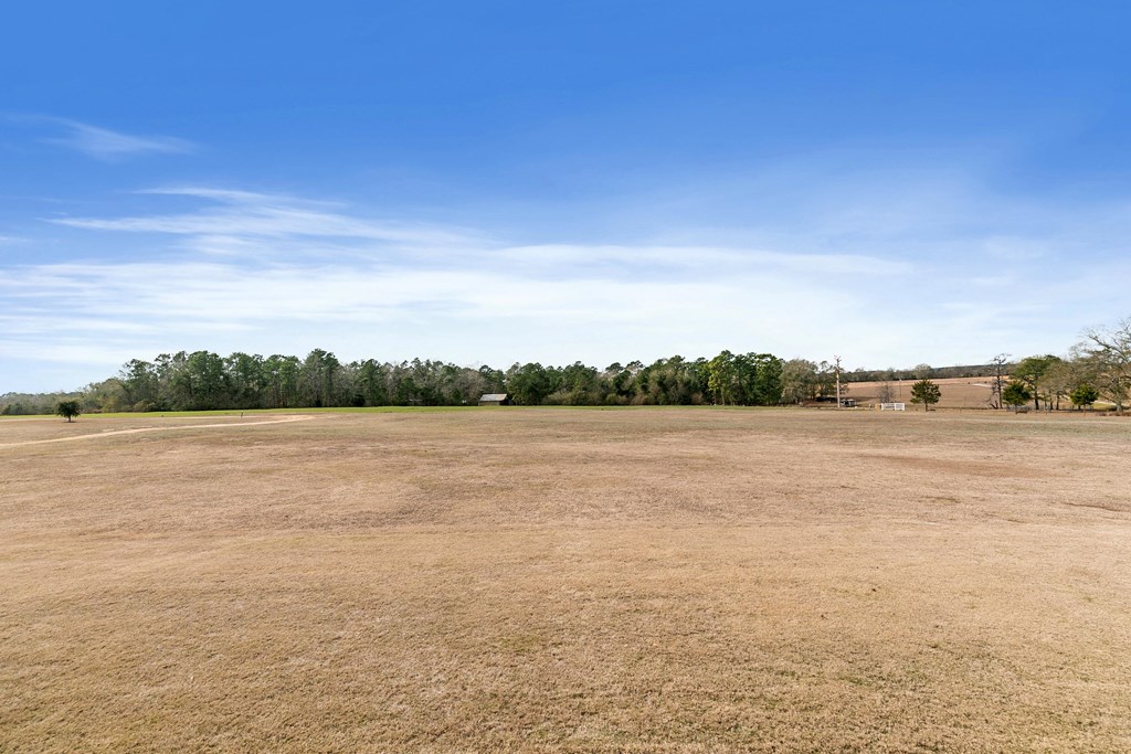 527 Sasser Road Dothan, AL 36305 - Photo 47 of 61