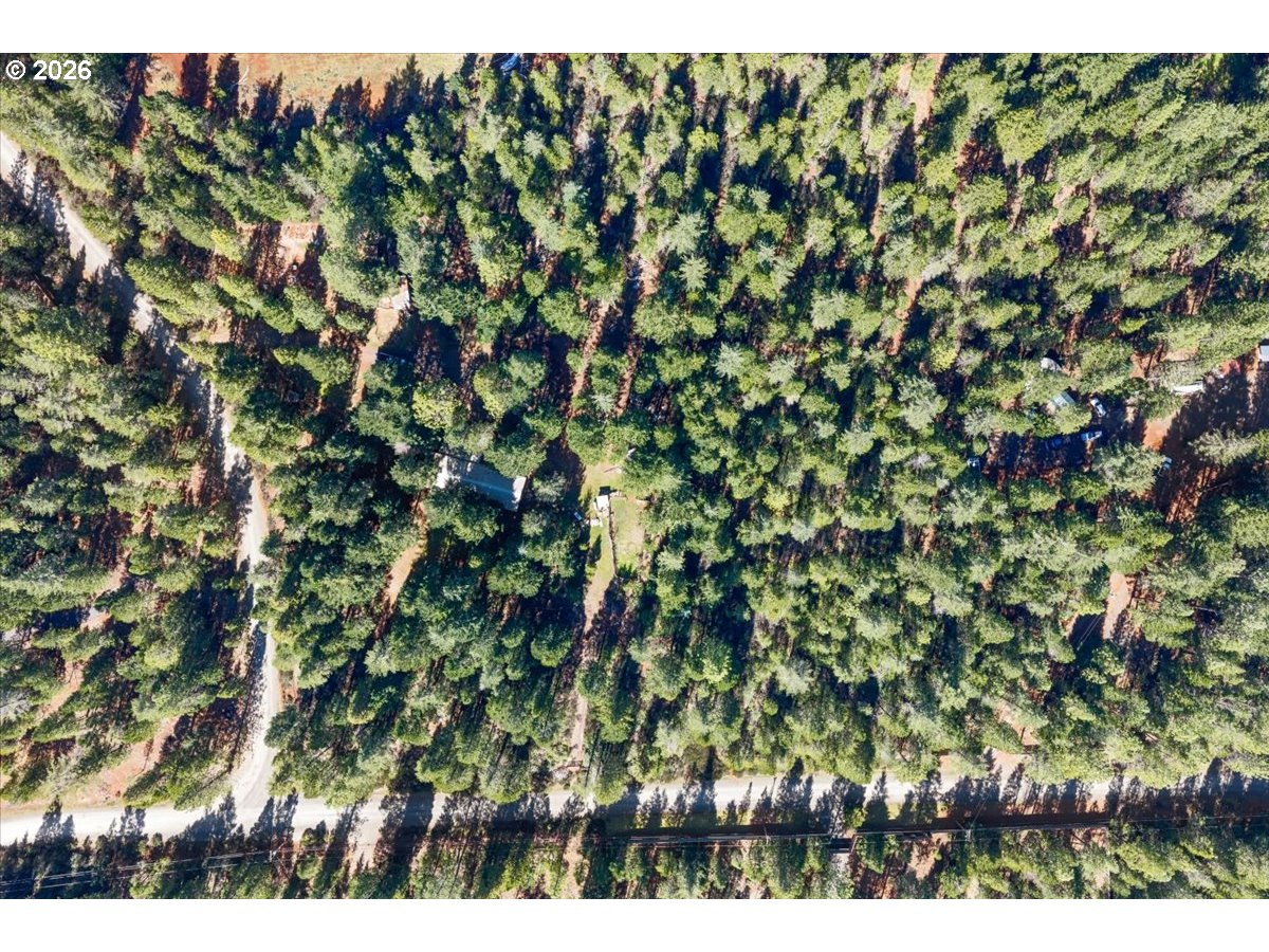 280 Cobalt Drive O'Brien, OR 97523 - Photo 21 of 27 a view of a tree