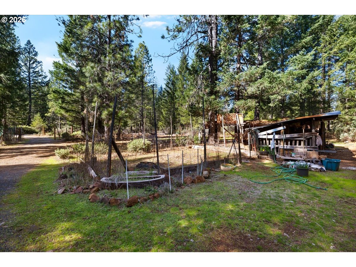 280 Cobalt Drive O'Brien, OR 97523 - Photo 7 of 27 a view of a park with large trees