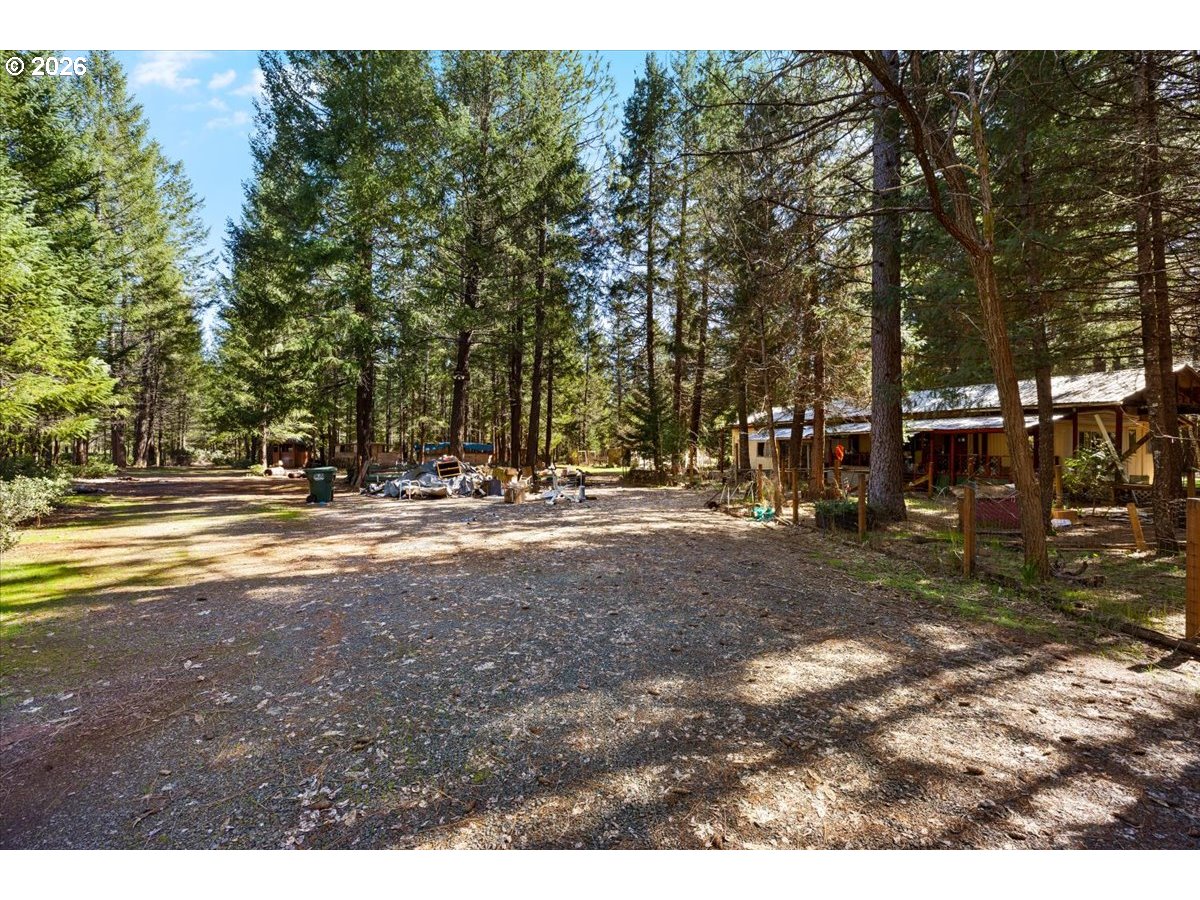 280 Cobalt Drive O'Brien, OR 97523 - Photo 8 of 27 a view of road with trees