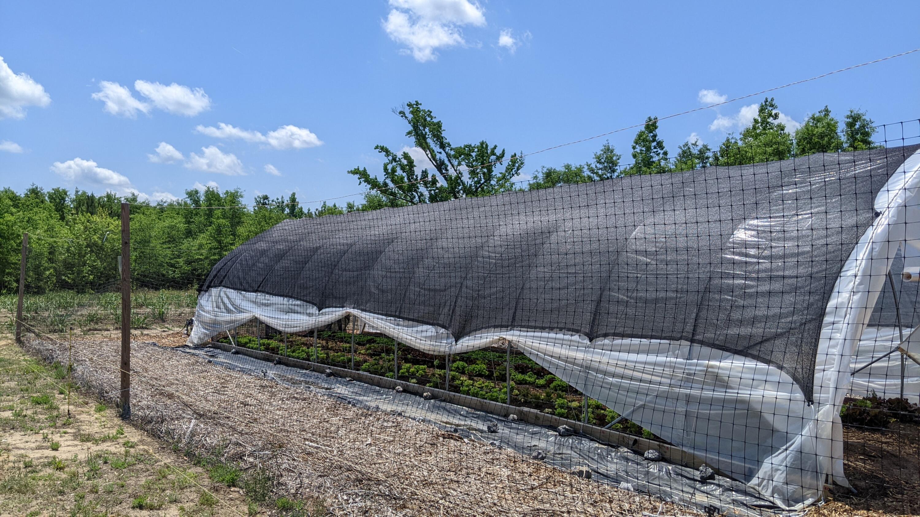 449 Gum Swamp Road Latta, SC 29565 - Photo 15 of 18 Hoop House with Heat Shield