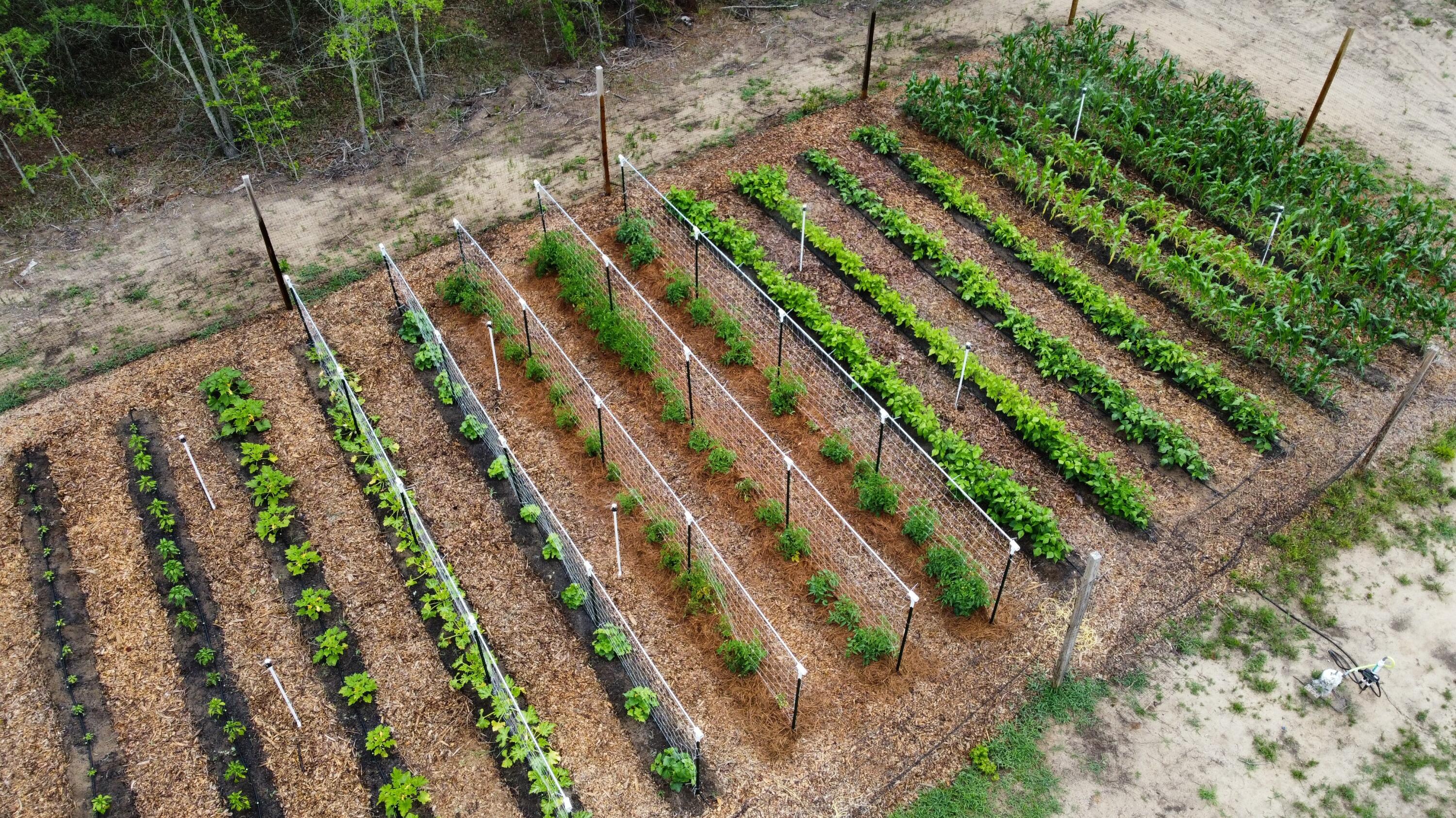 449 Gum Swamp Road Latta, SC 29565 - Photo 3 of 18 Drone 3