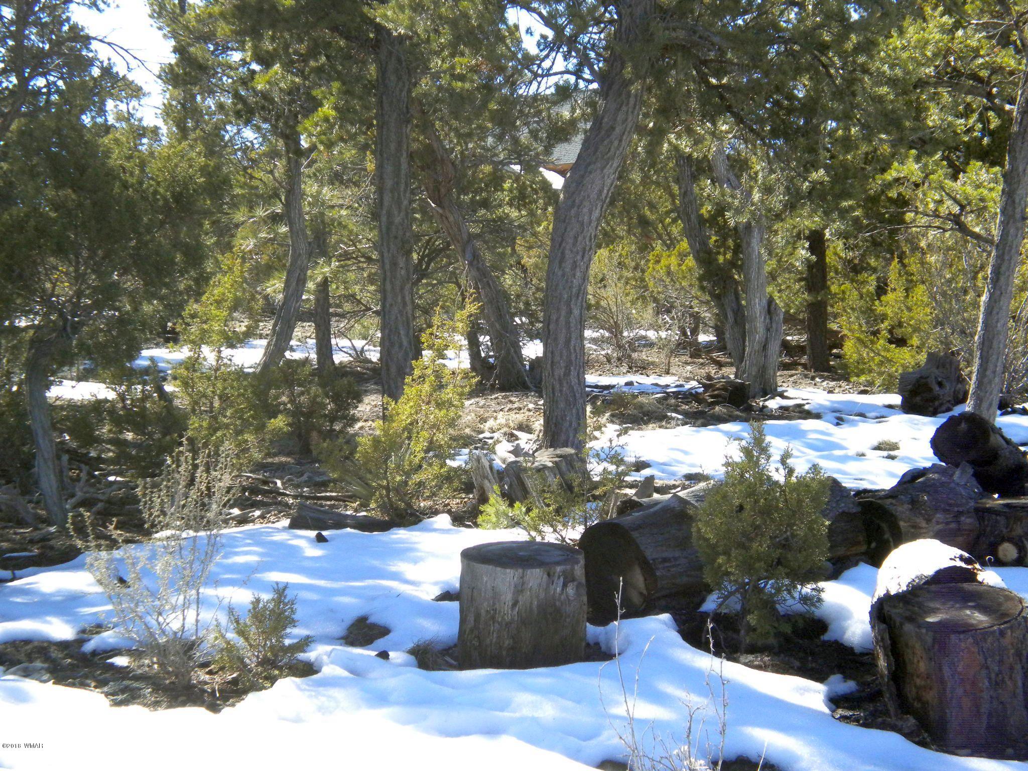 3351 Stone Bridge Trail Heber, AZ 85928 - Photo 3 of 3