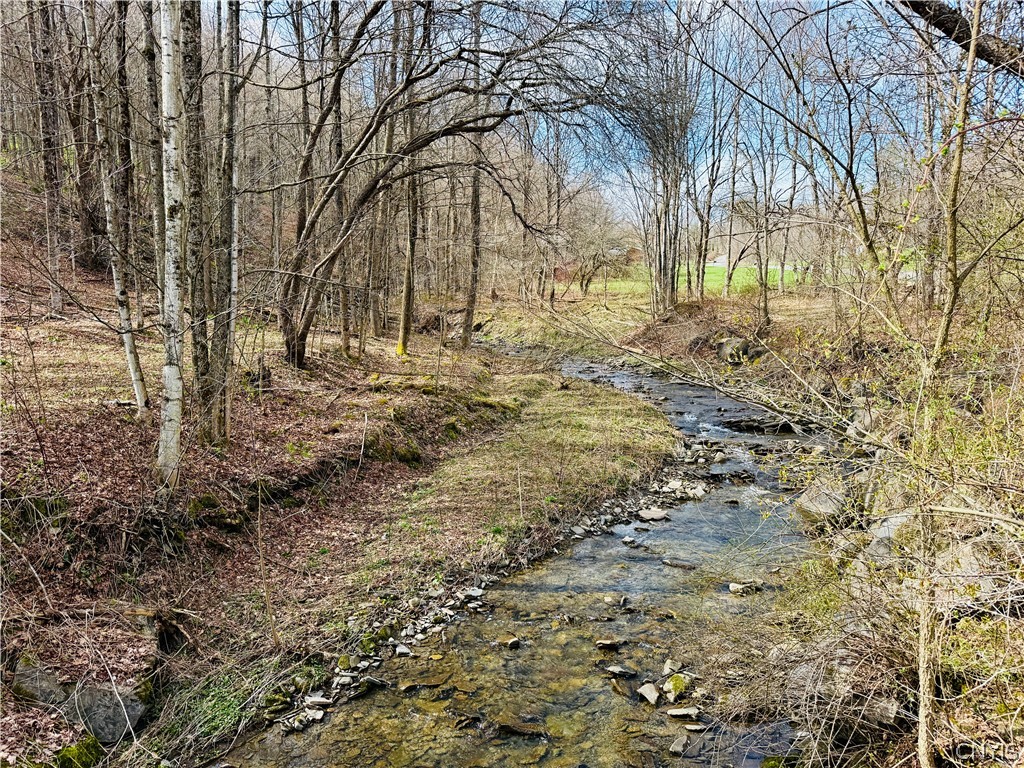 4543 Potter Road Solon, NY 13101 - Photo 30 of 31