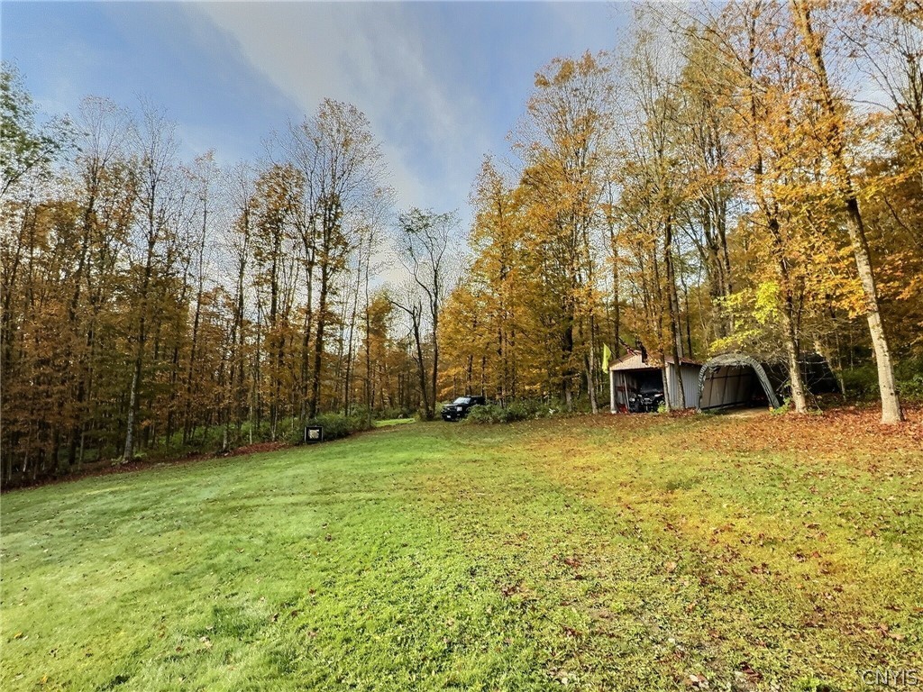 4543 Potter Road Solon, NY 13101 - Photo 3 of 31