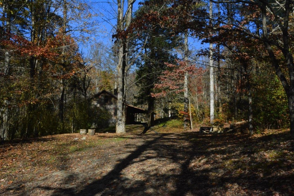 1730 Franks Creek Road Robbinsville, NC 28771 - Photo 29 of 36