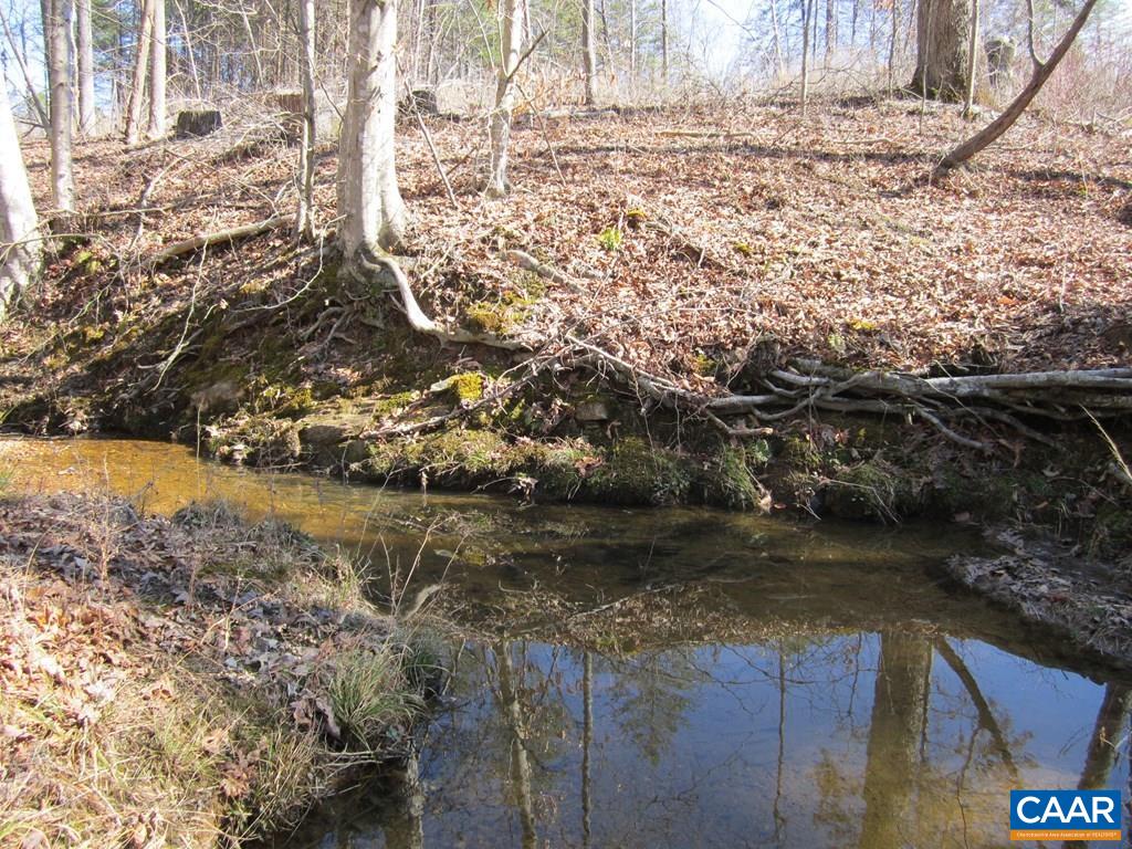 0 Sycamore Creek Road Wingina, VA 24599 - Photo 1 of 2 Gallery Image 1