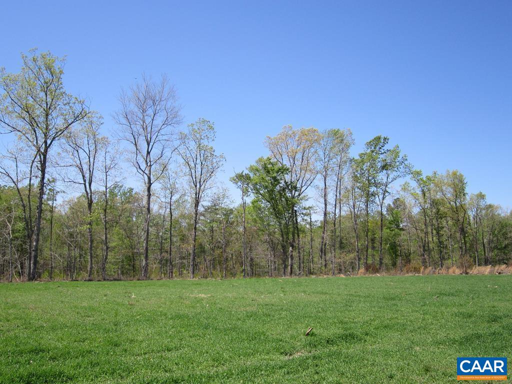 0 Sycamore Creek Road Wingina, VA 24599 - Photo 2 of 2 Gallery Image 2
