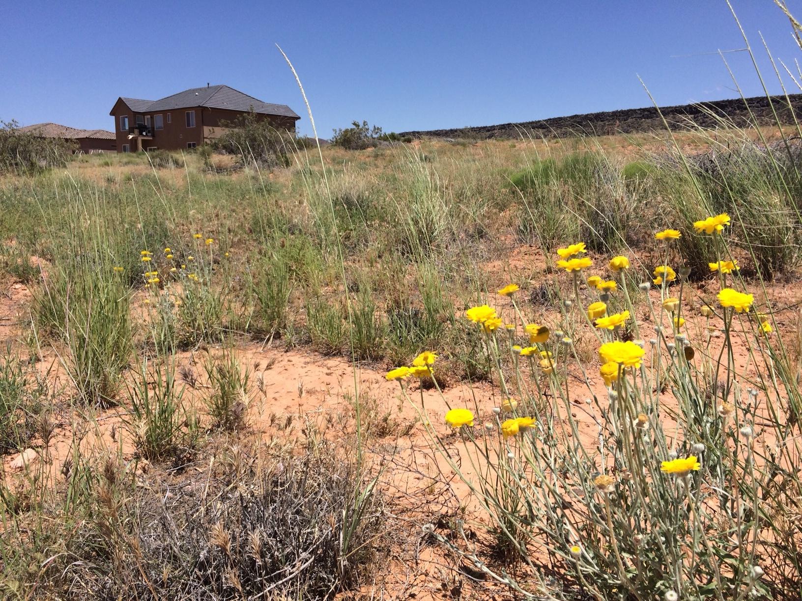 Dixie Springs East, Unit 176 Hurricane, UT 84737 - Photo 1 of 1 E176