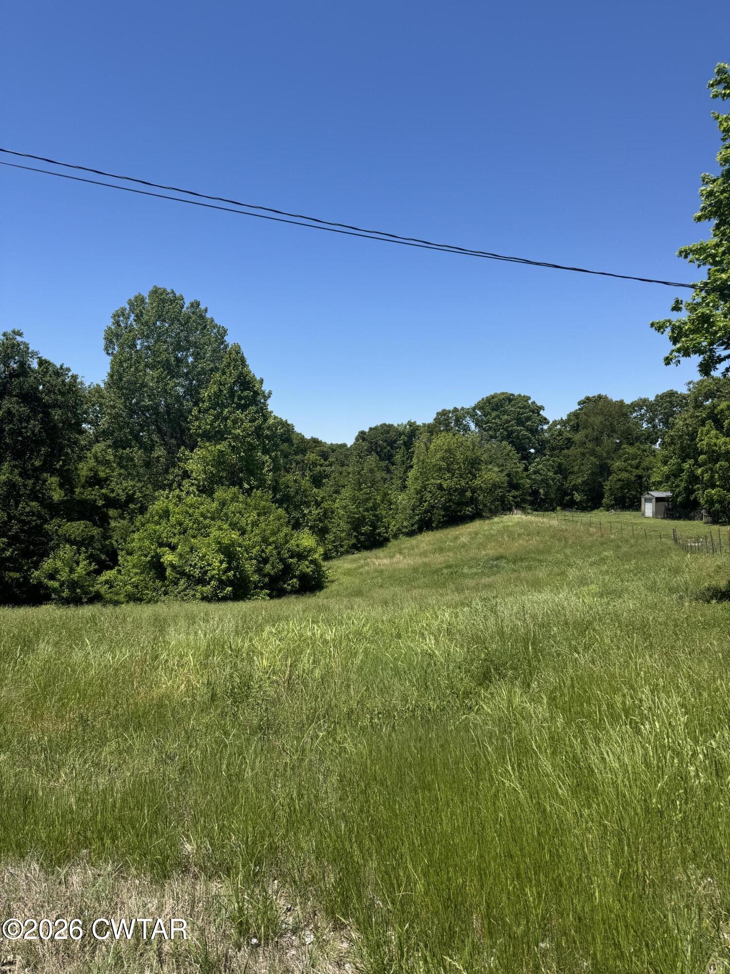 0 Rambo Road Dyersburg, TN 38024 - Photo 1 of 5 a view of a field of grass and trees