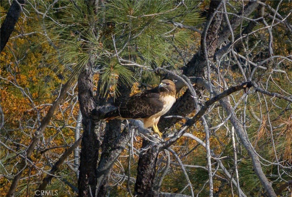 61173 Argyle Road King City, CA 93930 - Photo 28 of 32