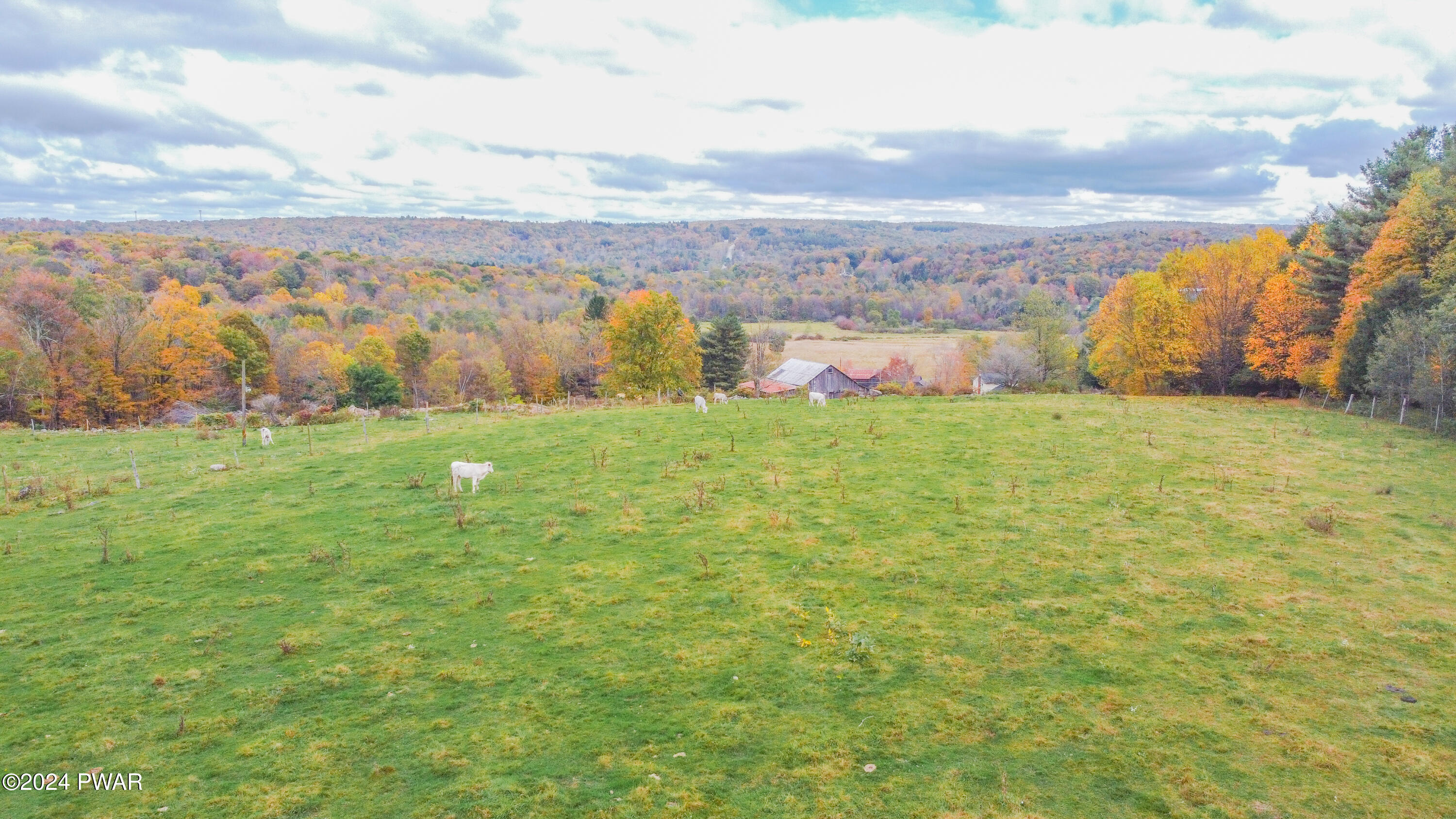 69 East Sterling Road Newfoundland, PA 18445 - Photo 48 of 57