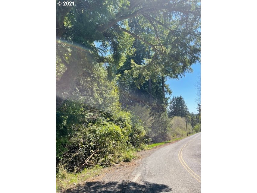 61650 Gensman Road St. Helens, OR 97051 - Photo 1 of 10 Gallery Image 1