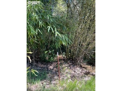 61650 Gensman Road St. Helens, OR 97051 - Photo 2 of 10 Gallery Image 2