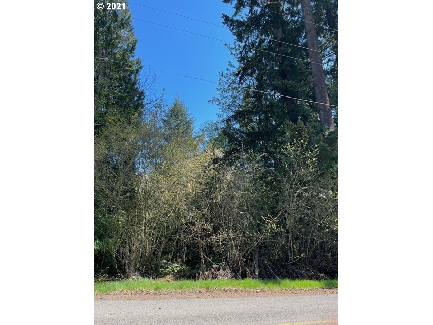 61650 Gensman Road St. Helens, OR 97051 - Photo 3 of 10 Gallery Image 3