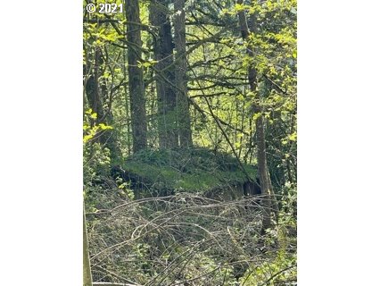 61650 Gensman Road St. Helens, OR 97051 - Photo 7 of 10 Gallery Image 7