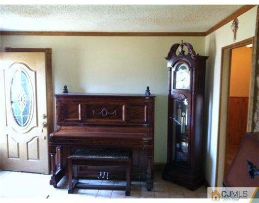 52 Tunison Road New Brunswick, NJ 08901 - Photo 3 of 17 a view of a livingroom with furniture and a fireplace