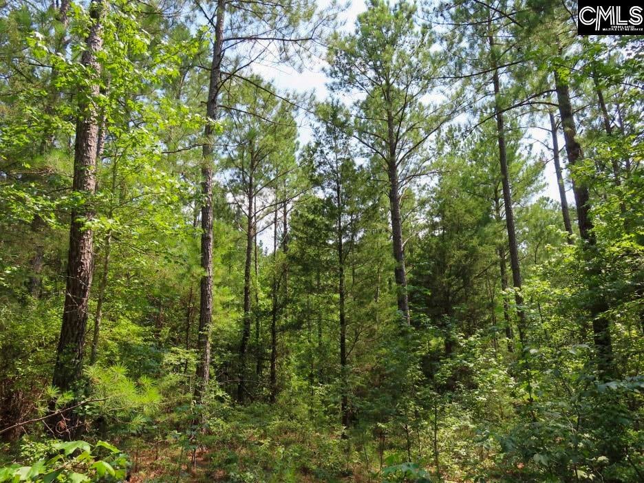 0 Landis Road Winnsboro, SC 29180 - Photo 19 of 83 Gallery Image 19
