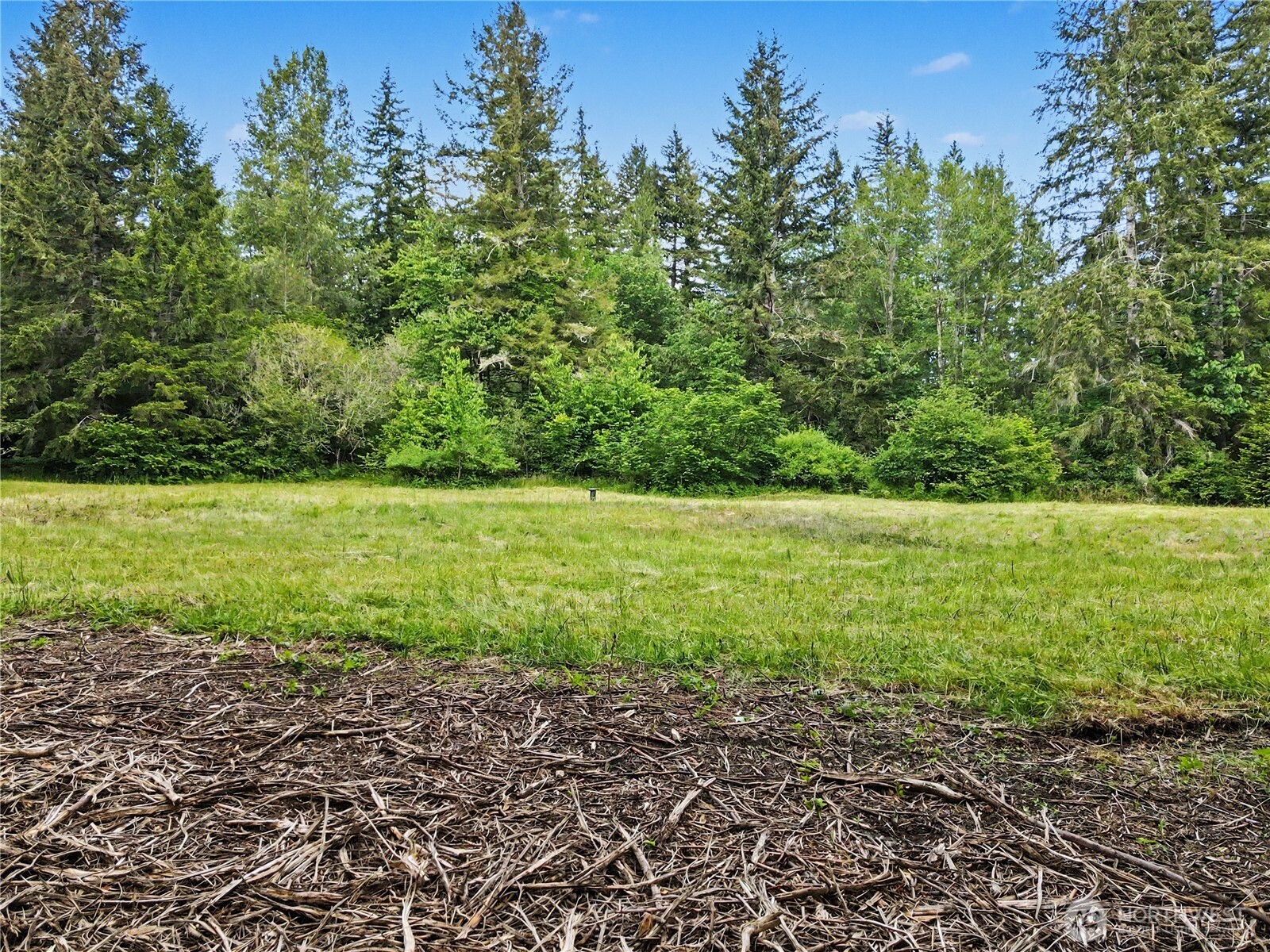 0 Wildwood Road Quilcene, WA 98376 - Photo 25 of 36