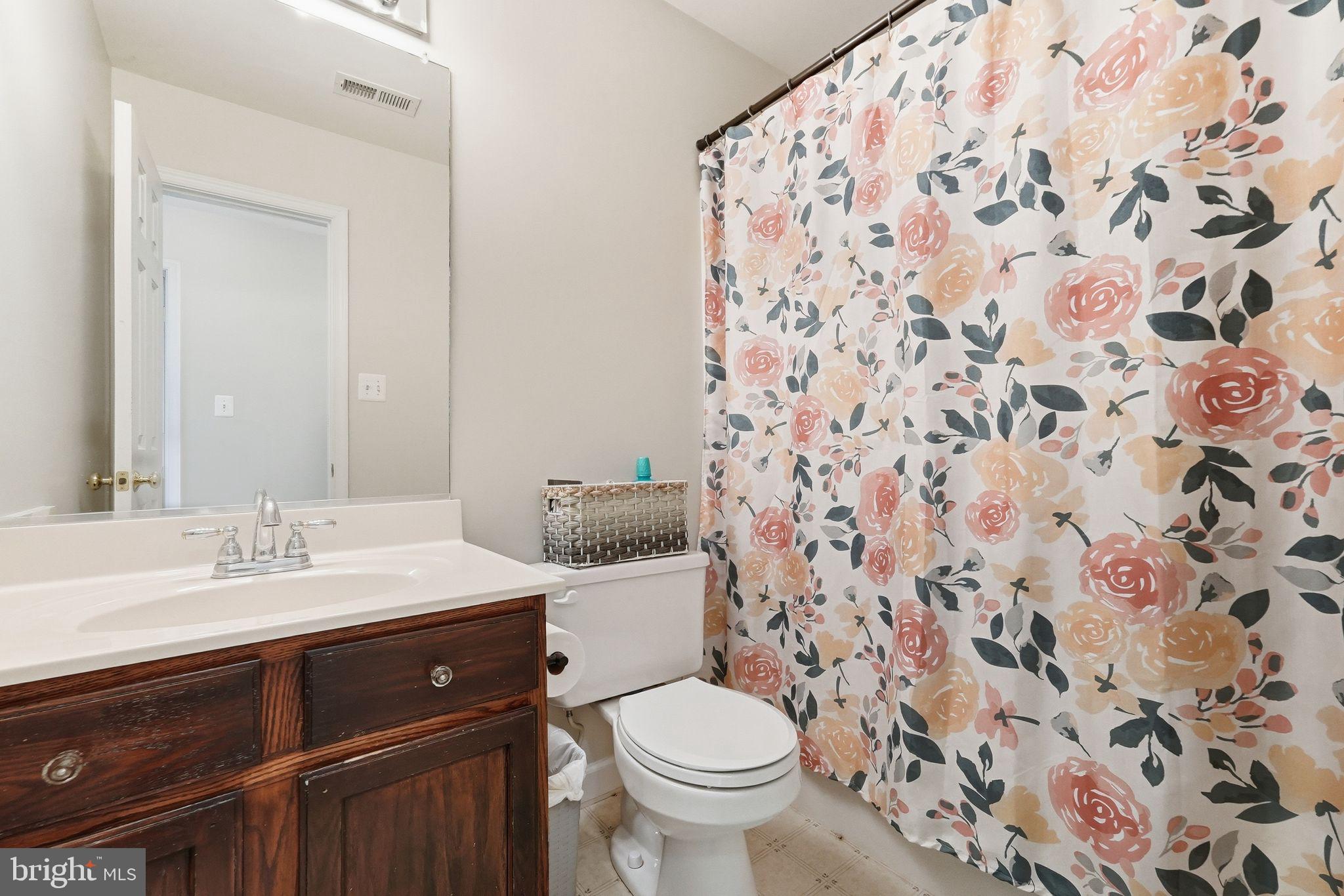 18198 Springs Road Jeffersonton, VA 22724 - Photo 49 of 80 Upstairs Hall Bathroom