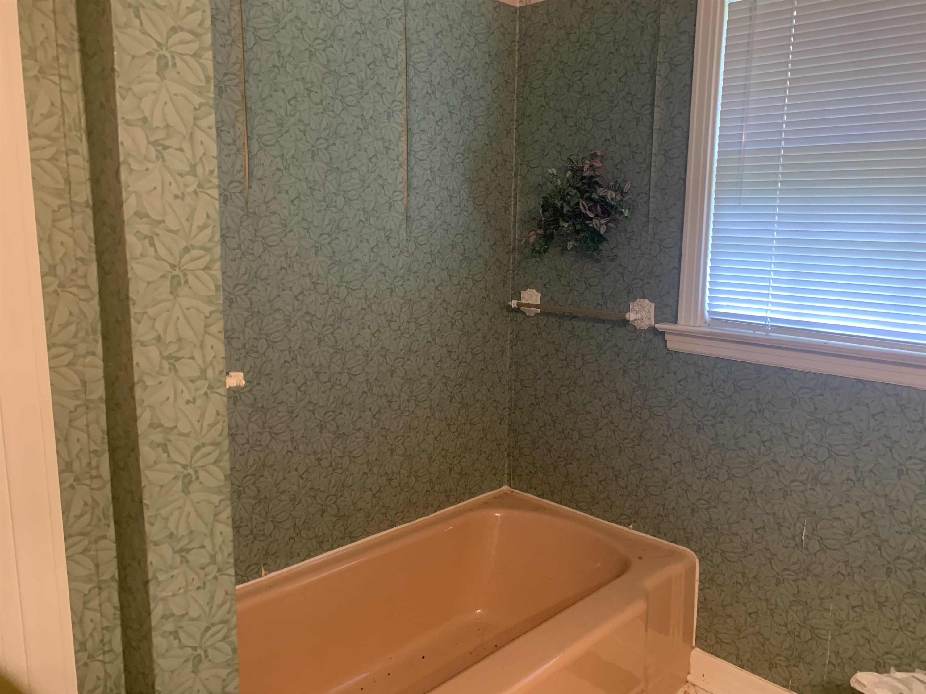 55 Brandon Road Huntingdon, TN 38344 - Photo 8 of 16 Photo 8
