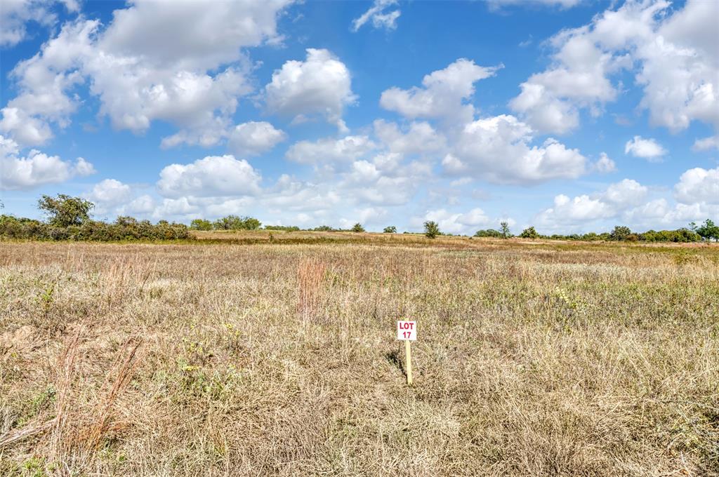 Tbd Wilson Road Perrin, TX 76486 - Photo 21 of 30 a view of a lake with houses in the back