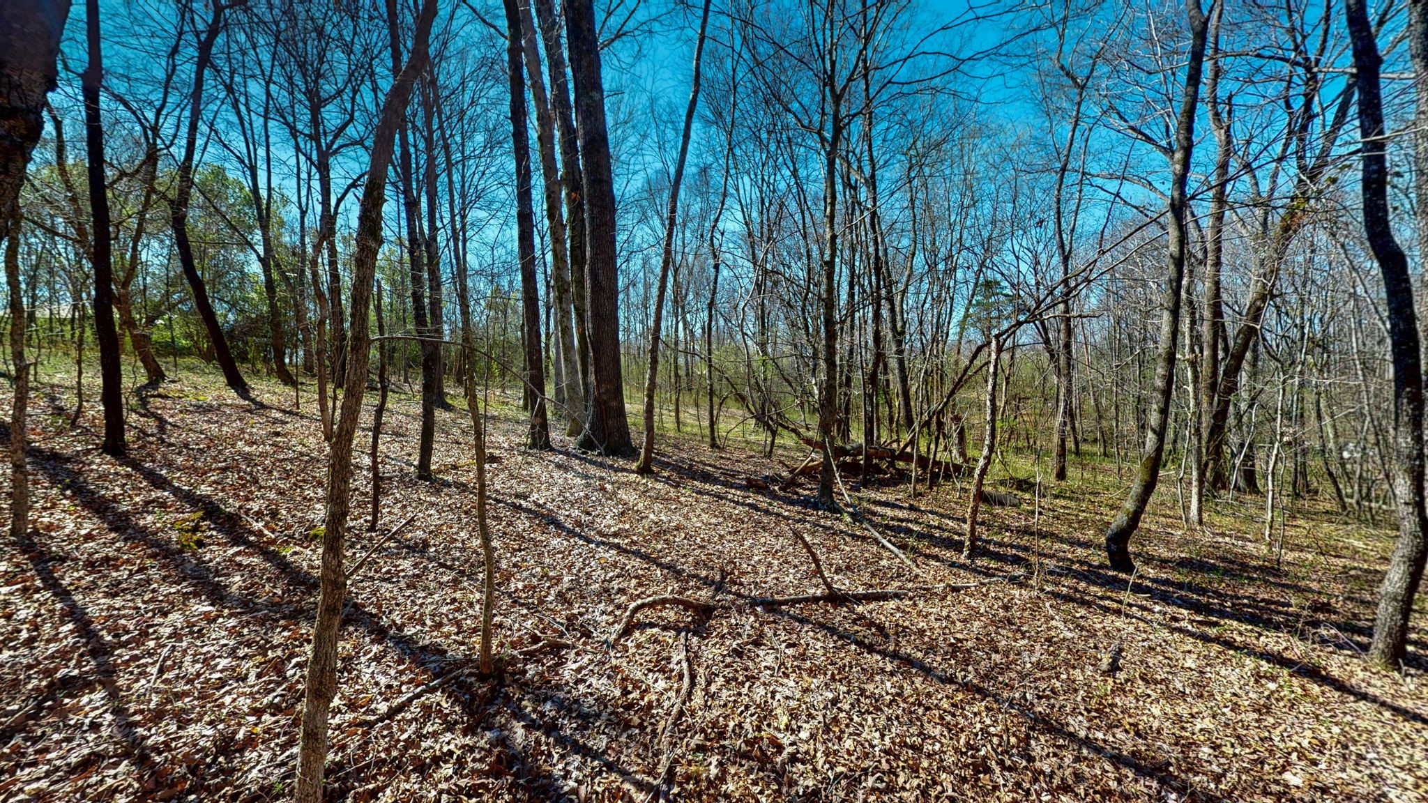 1461 Southside Road Southside, TN 37171 - Photo 12 of 28 a view of a backyard