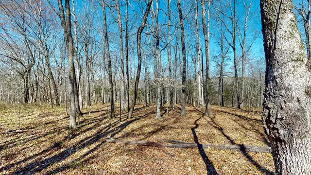 $65,000 | 1461 Southside Road, Southside, TN 37171