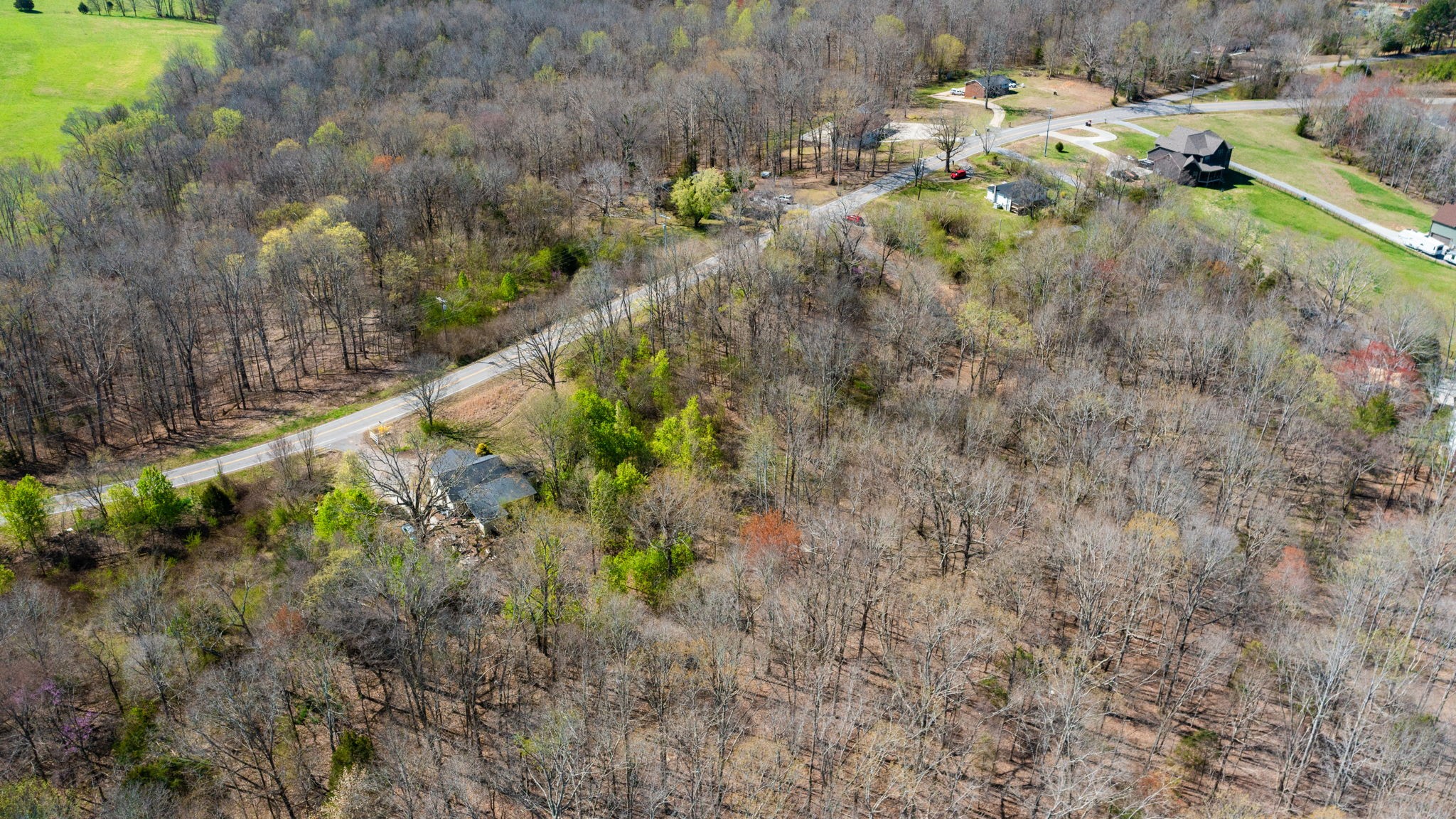 1461 Southside Road Southside, TN 37171 - Photo 20 of 28 a view of a yard with plants