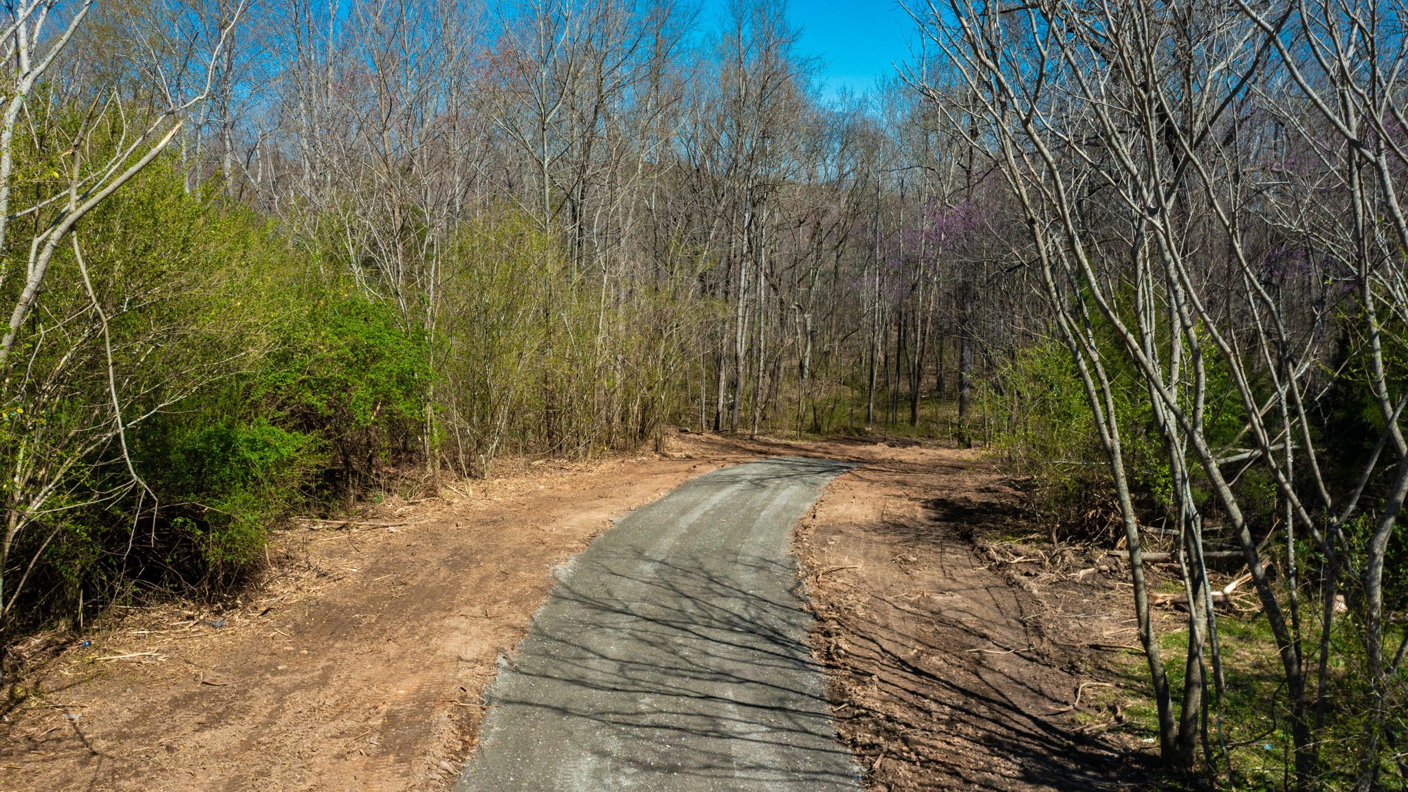 1461 Southside Road Southside, TN 37171 - Photo 21 of 28 a view of a backyard of the house