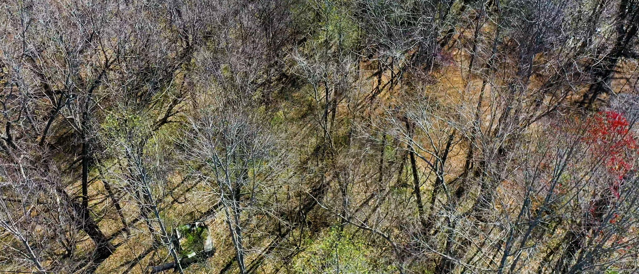 1461 Southside Road Southside, TN 37171 - Photo 22 of 28 a view of a yard