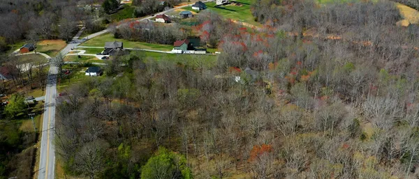 a view of a house with a lush green forest
