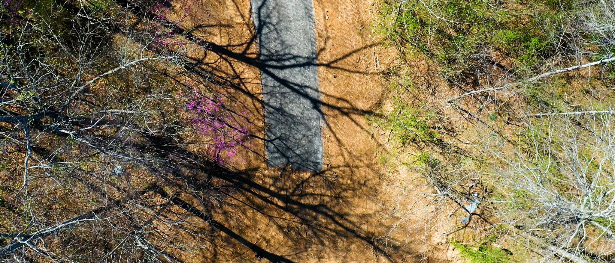 1461 Southside Road Southside, TN 37171 - Photo 25 of 28 a backyard of a house with lots of trees