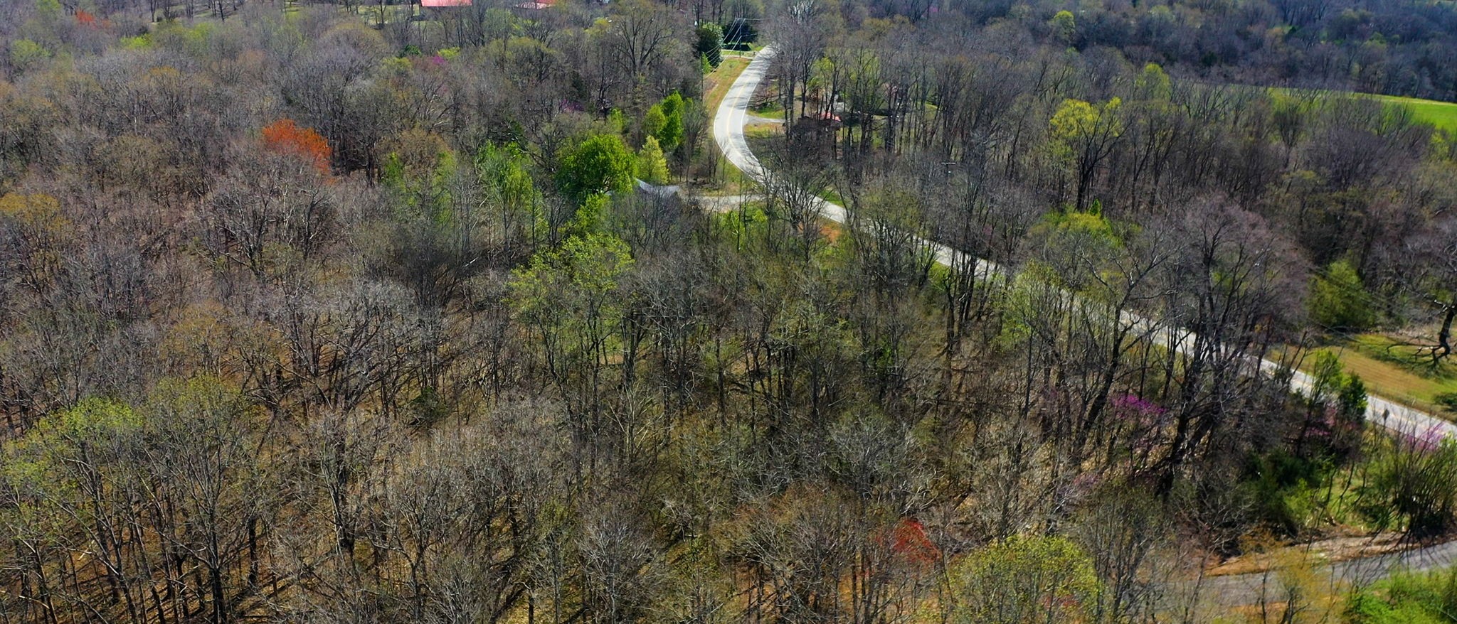 1461 Southside Road Southside, TN 37171 - Photo 27 of 28 a view of a garden with a tree