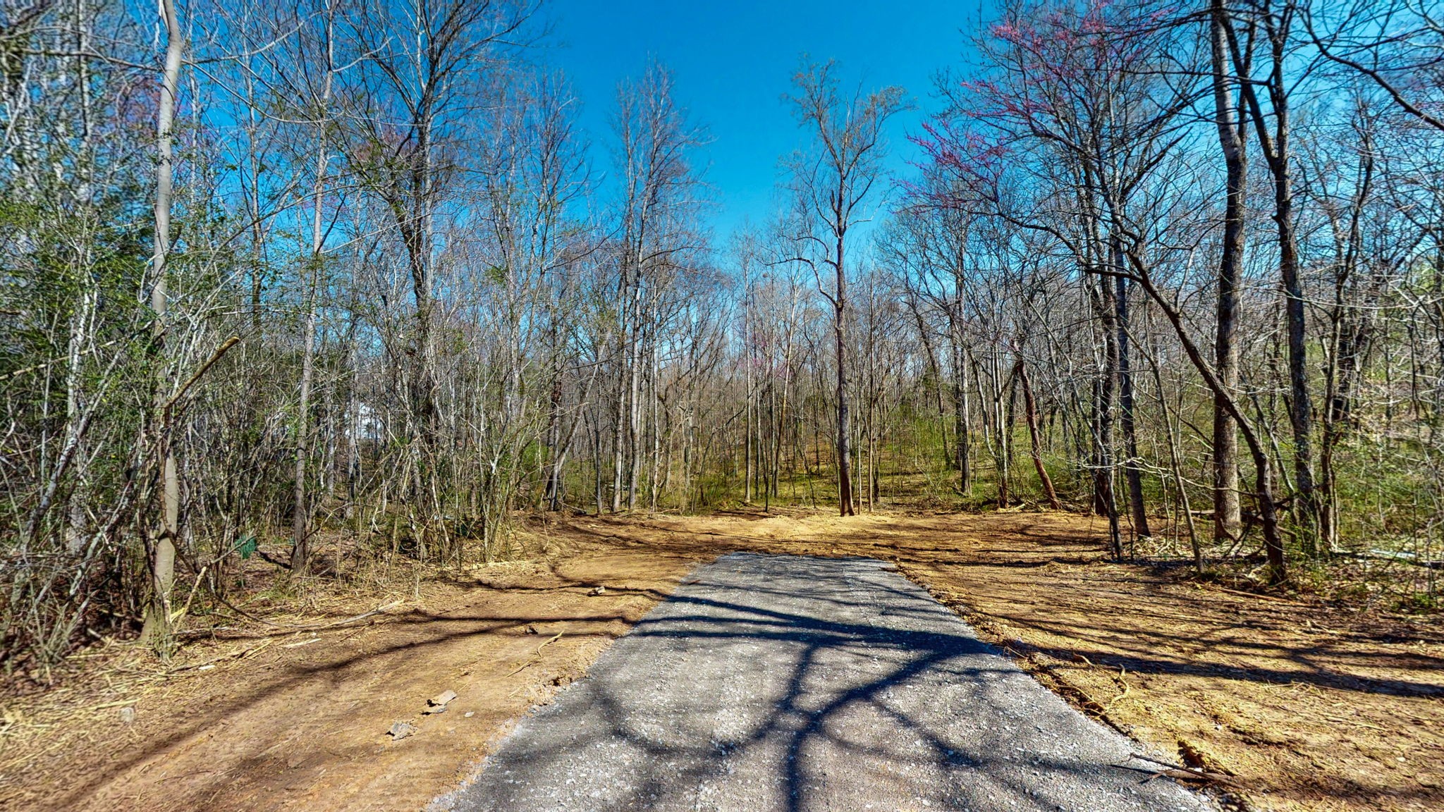 1461 Southside Road Southside, TN 37171 - Photo 3 of 28 a view of a yard with trees