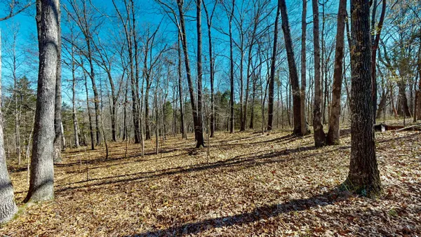 a view of a backyard with a trees