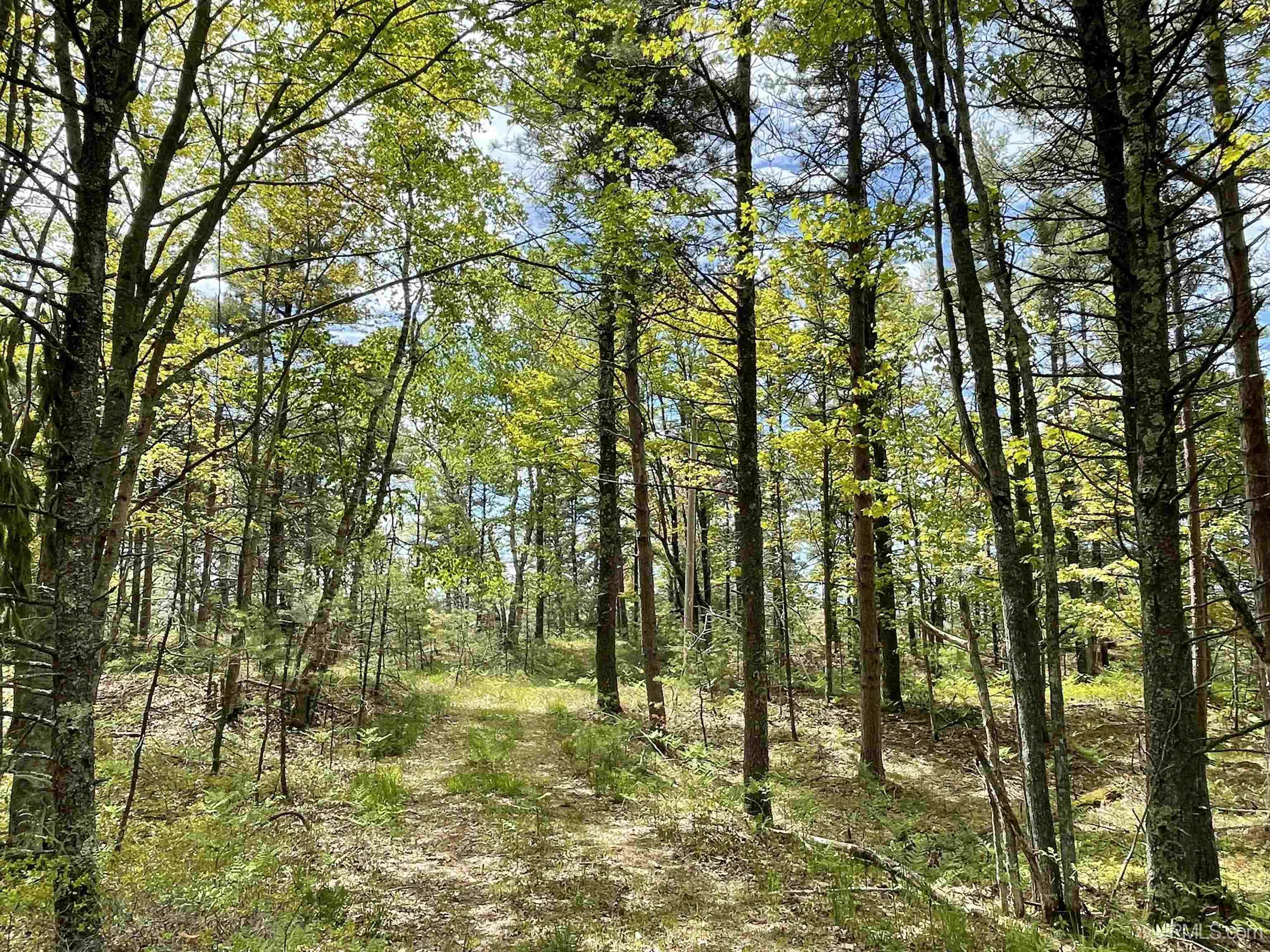 Tbd Top O The Lake Road Baldwin, MI 49304 - Photo 5 of 10