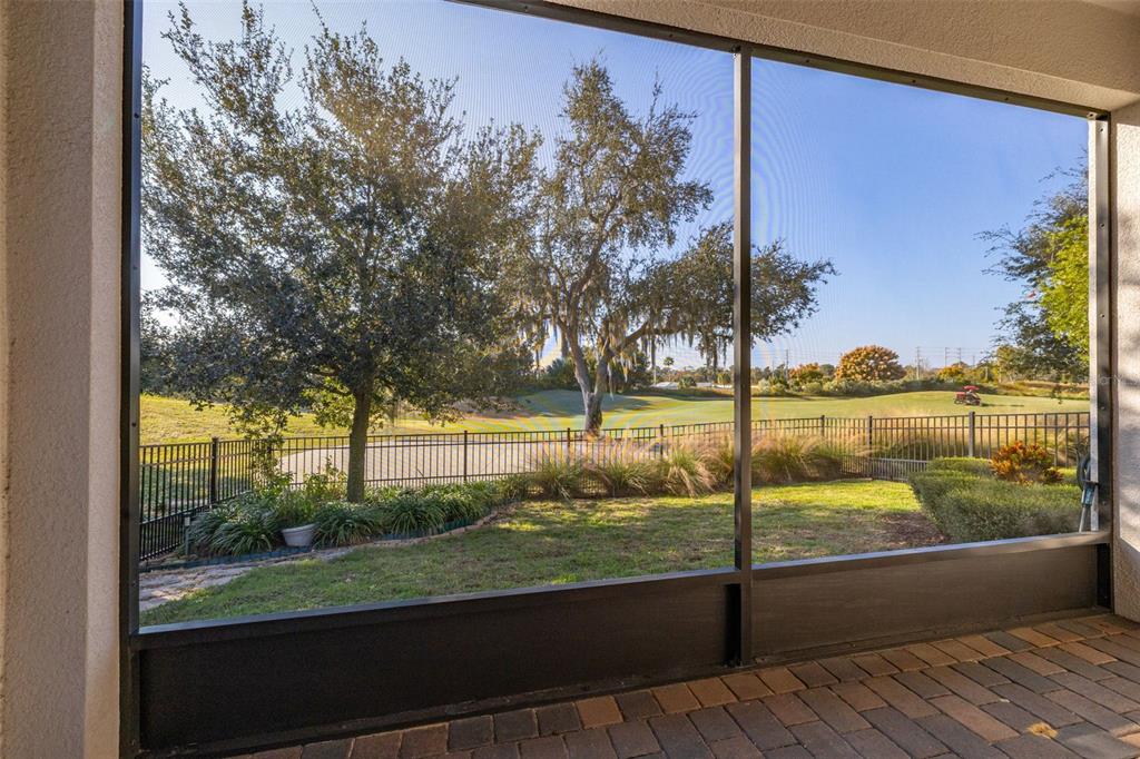 1855 Flora Pass Place Kissimmee, FL 34747 - Photo 13 of 41 a view of large trees and outdoor space