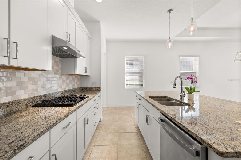 1855 Flora Pass Place Kissimmee, FL 34747 - Photo 8 of 41 a kitchen with granite countertop stainless steel appliances a sink stove and cabinets