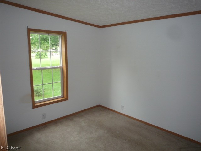 4082 Sandy Lake Road Ravenna, OH 44266 - Photo 7 of 18 Gallery Image 7