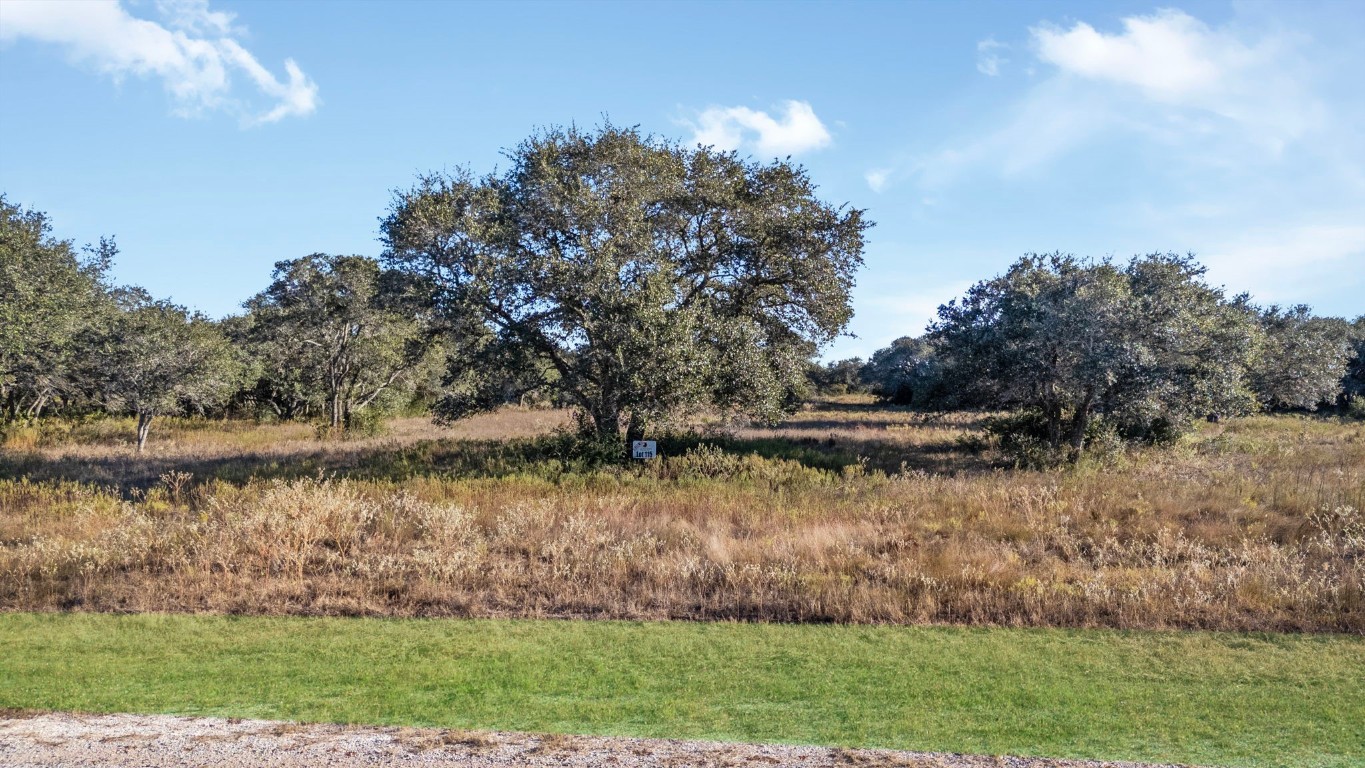 0 Pintail Lane Columbus, TX 78934 - Photo 5 of 6 a view of lake with a yard