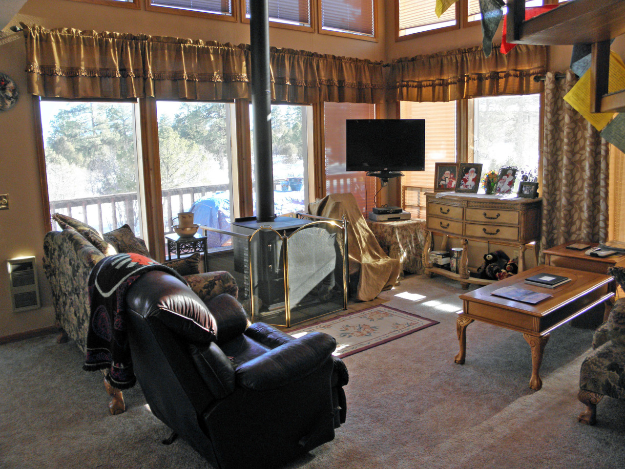 223 Juniper Road South Ridgway, CO 81432 - Photo 11 of 21 living room view 2
