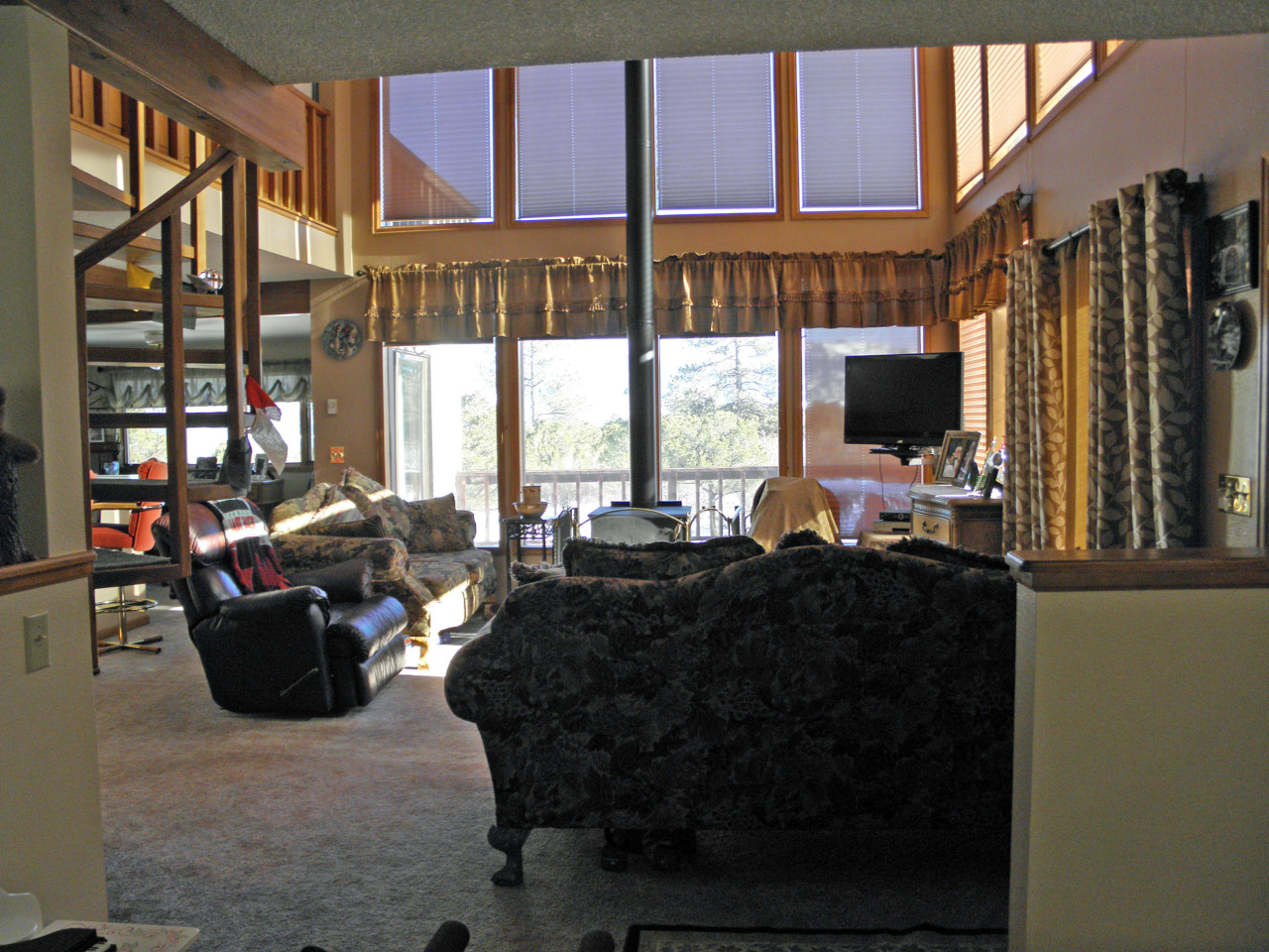 223 Juniper Road South Ridgway, CO 81432 - Photo 12 of 21 living room view 3